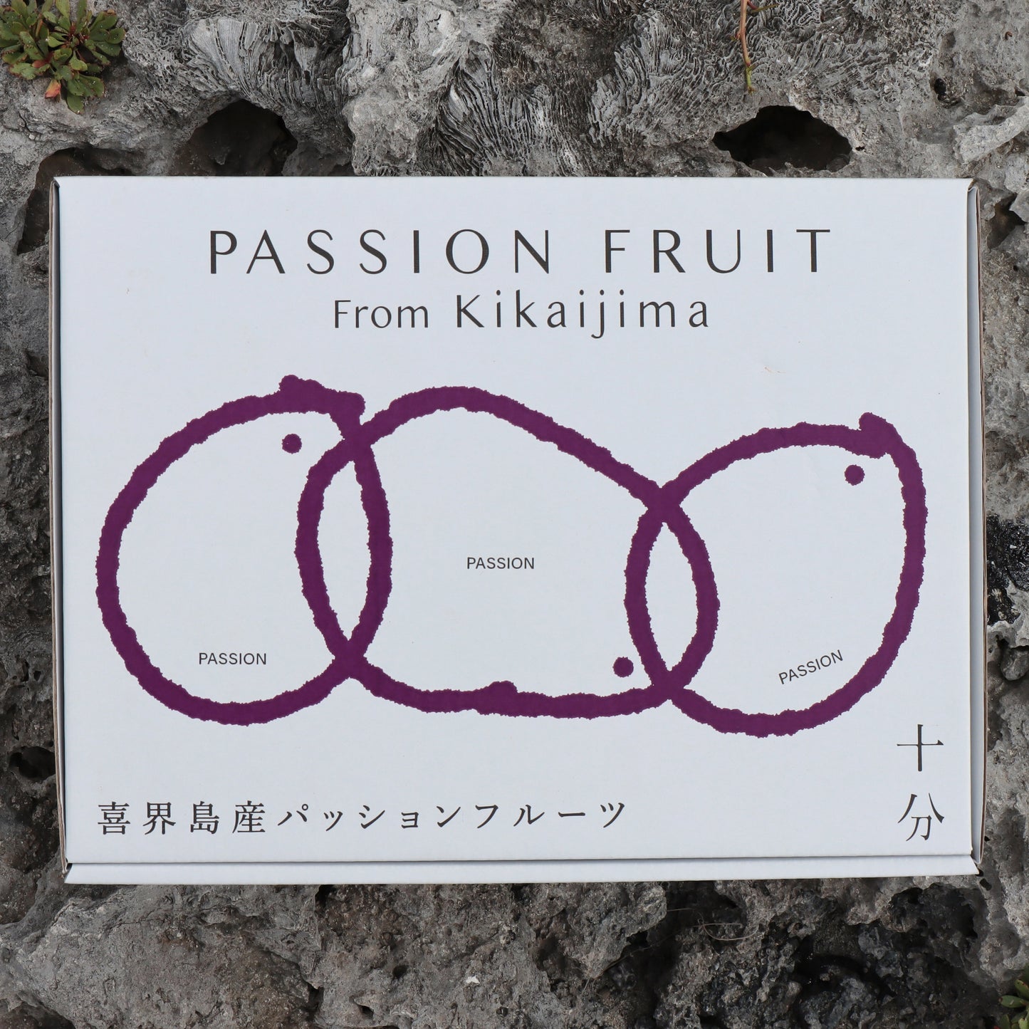 パッションフルーツ 12個セット