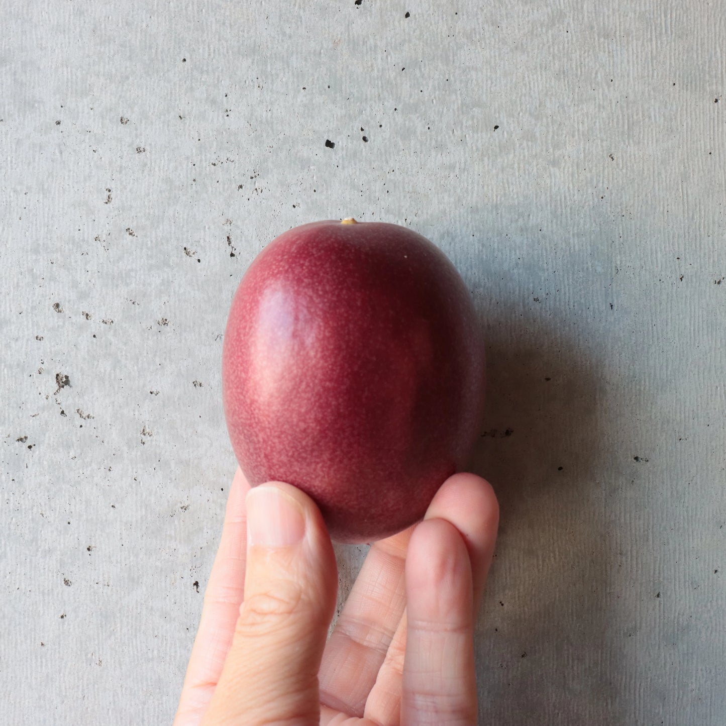 【GIFT】パッションフルーツ 12個セット