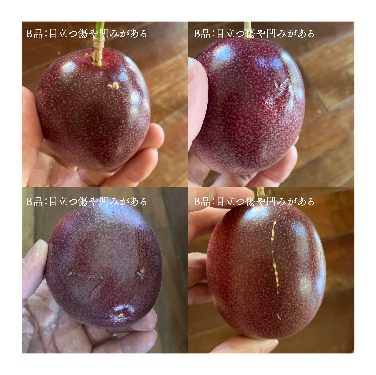 パッションフルーツ 12個セット