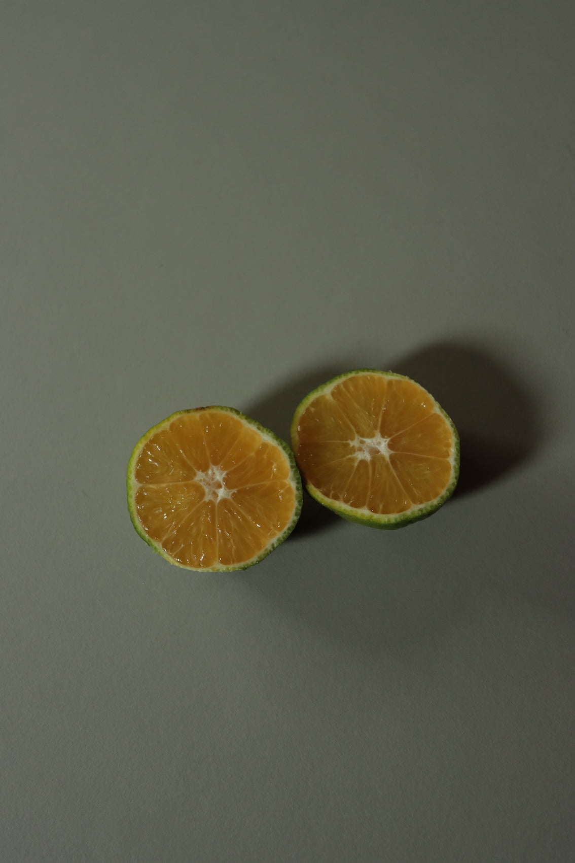 【完売しました】花良治みかん