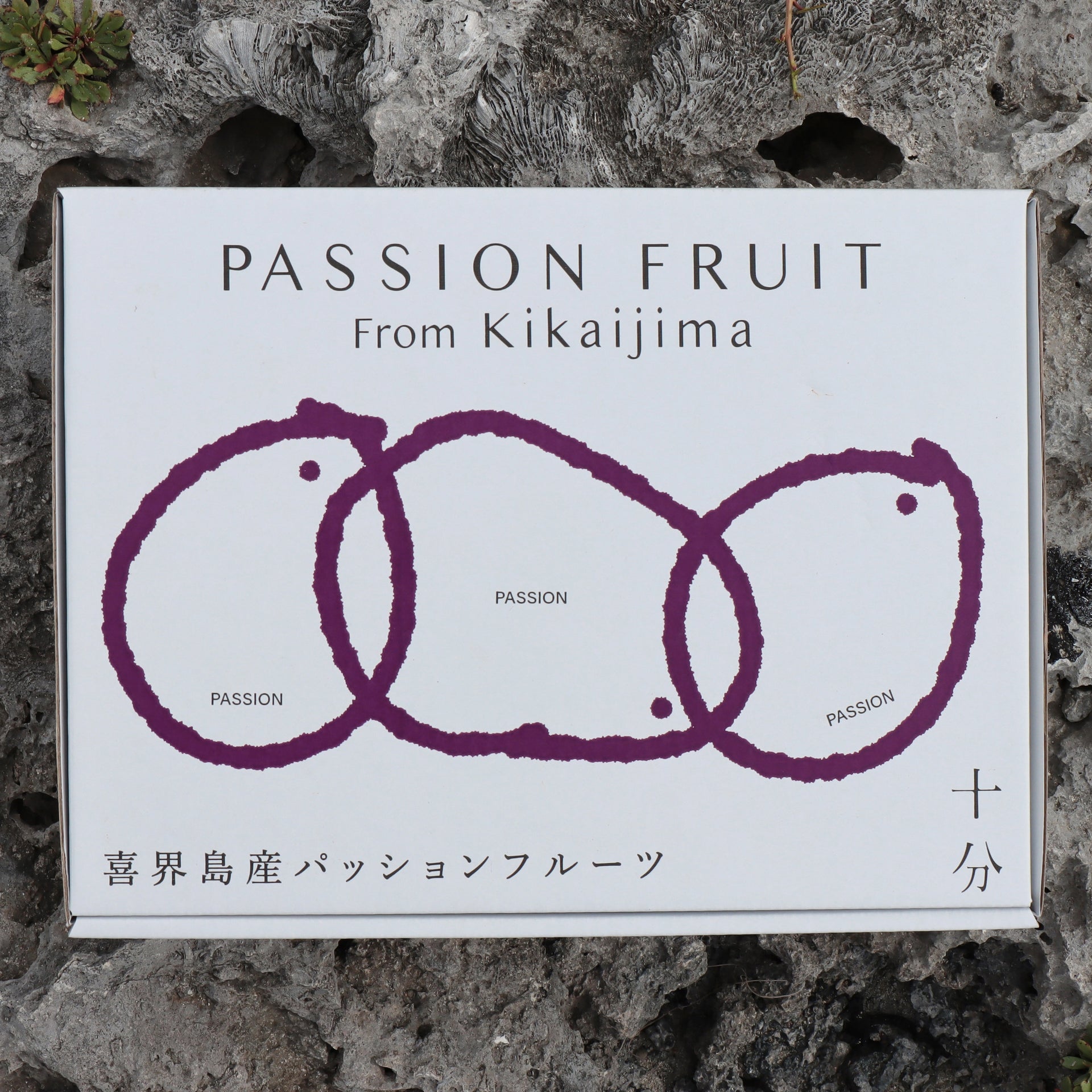 パッションフルーツ 12個セット – 十分 パッションフルーツ 12個セット – 十分