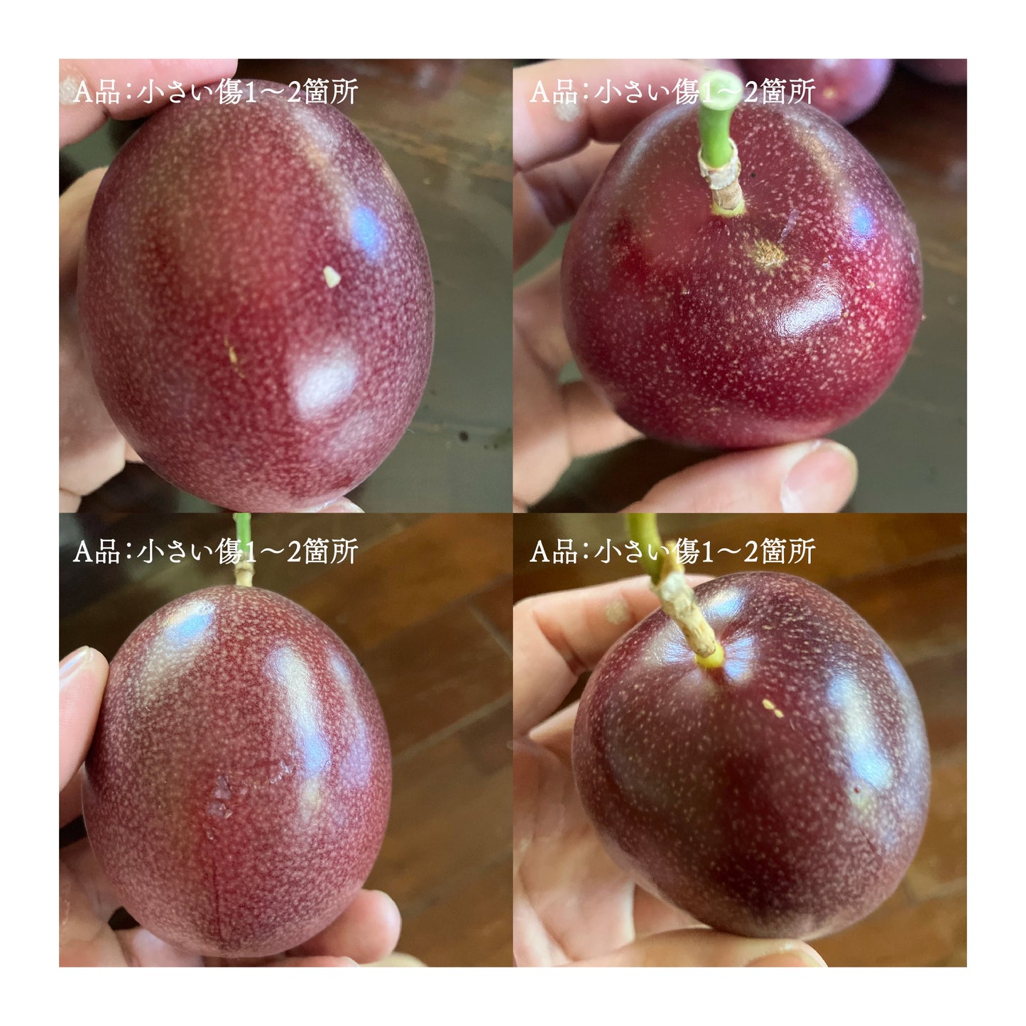 【GIFT】パッションフルーツ 12個セット