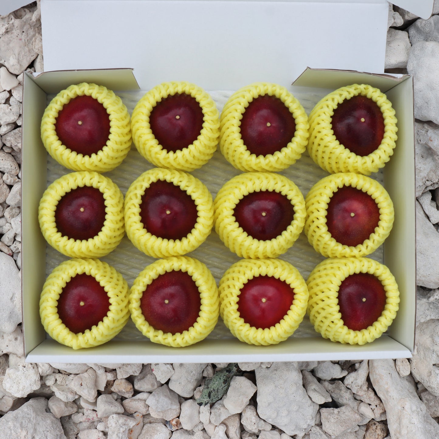 パッションフルーツ 12個セット